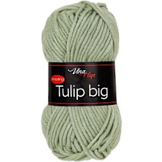 Tulip Big 41307 - Vavřín